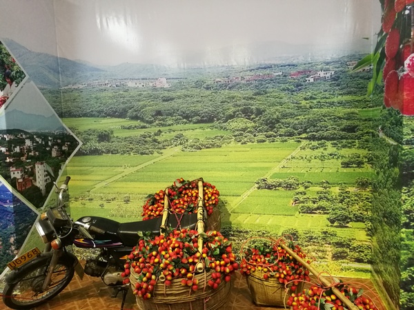 展览小场景:荔枝丰收 展览小场景:荔枝丰收