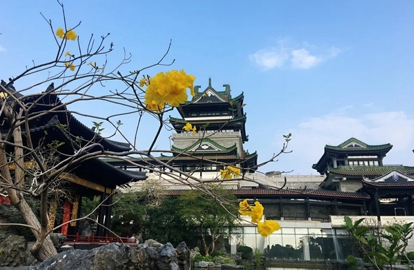 粤剧艺术博物馆(博物馆供图).jpg