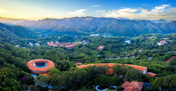 5.梅州雁南飞景区(梅州市雁南飞茶田景区 ).jpg