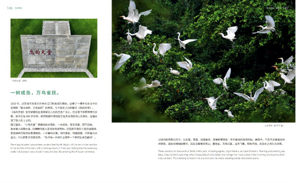 (校)这四本书里藏着广东最美的模样,90%的人看完都想立刻出发!362.png