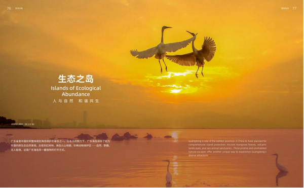 (校)这四本书里藏着广东最美的模样,90%的人看完都想立刻出发!784.png